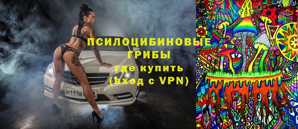 индика Аркадак