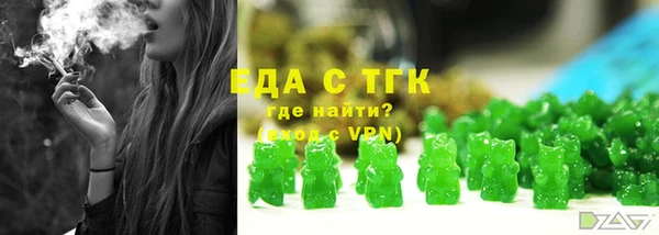 индика Аркадак
