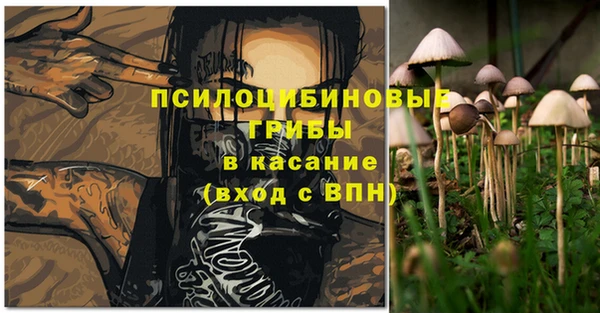 индика Аркадак