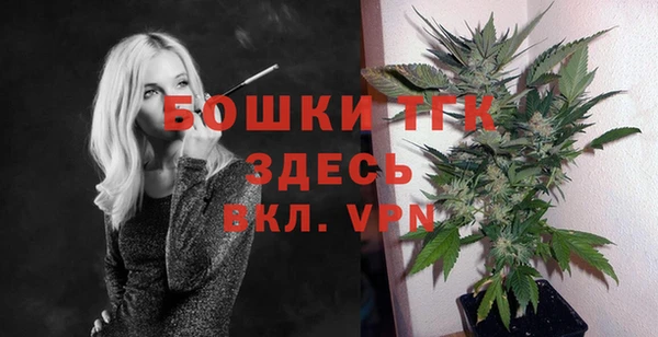 дживик Арсеньев