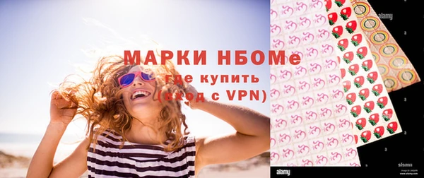 индика Аркадак