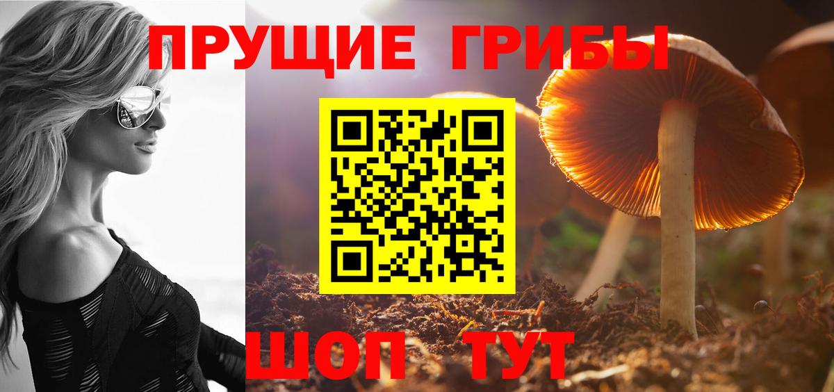 Псилоцибиновые грибы GOLDEN TEACHER  Вход с VPN  Казань  Галлюциногенные грибы GOLDEN TEACHER 