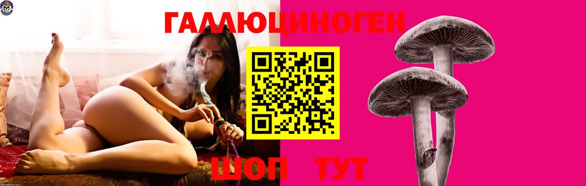 Псилоцибиновые грибы прущие грибы Казань