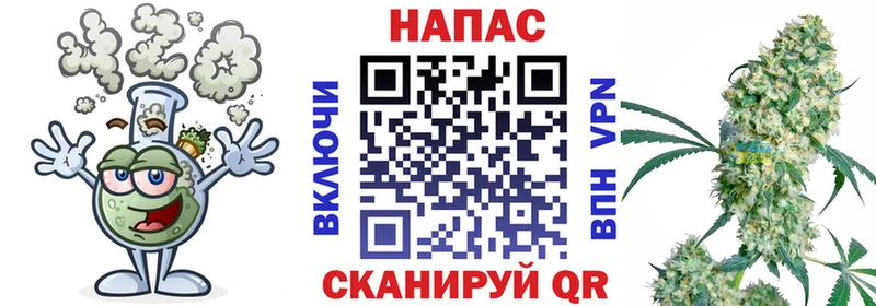 Конопля конопля хочу Казань